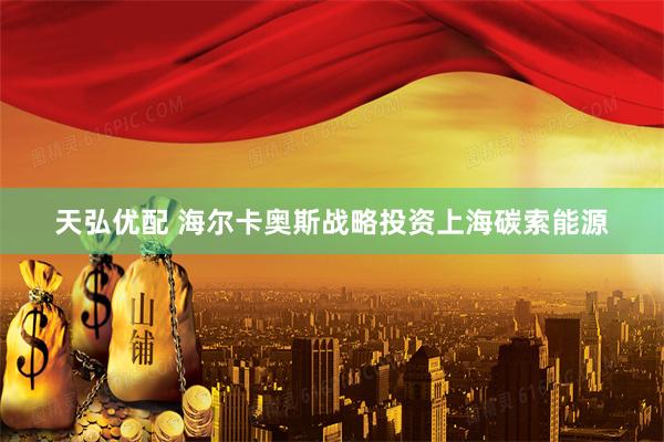 天弘优配 海尔卡奥斯战略投资上海碳索能源