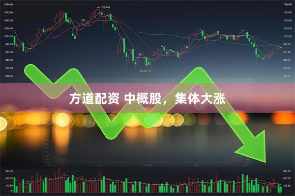 方道配资 中概股，集体大涨