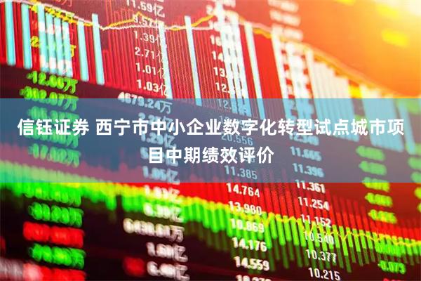 信钰证券 西宁市中小企业数字化转型试点城市项目中期绩效评价