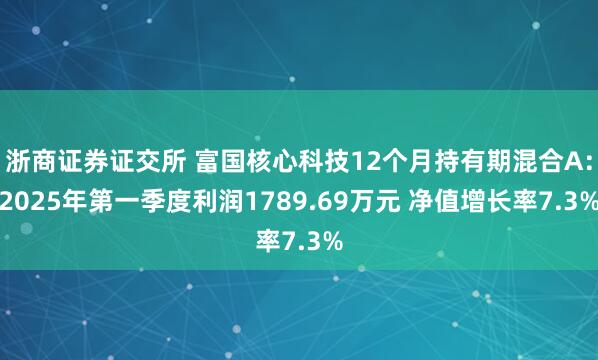 浙商证券证交所 富国核心科技12个月持有期混合A：2025年第一季度利润1789.69万元 净值增长率7.3%