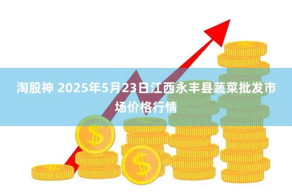 淘股神 2025年5月23日江西永丰县蔬菜批发市场价格行情