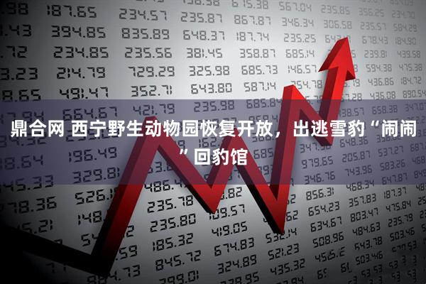 鼎合网 西宁野生动物园恢复开放，出逃雪豹“闹闹”回豹馆