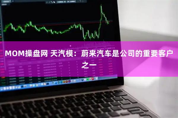 MOM操盘网 天汽模：蔚来汽车是公司的重要客户之一