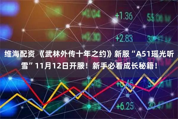 维海配资 《武林外传十年之约》新服“A51瑶光听雪”11月12日开服！新手必看成长秘籍！