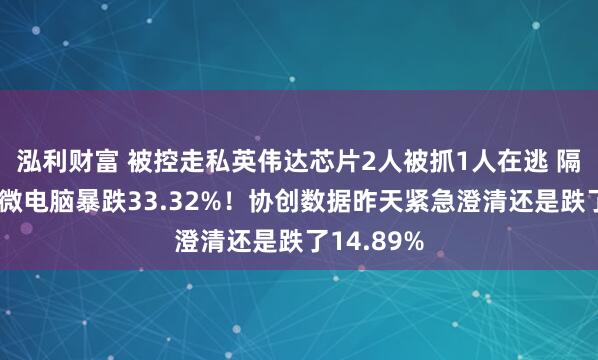 泓利财富 被控走私英伟达芯片2人被抓1人在逃 隔夜美股超微电脑暴跌33.32%!协创数据昨天紧急澄清还是跌了14.89%