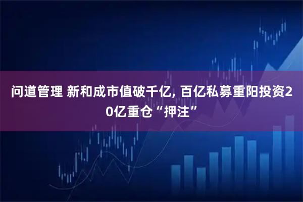 问道管理 新和成市值破千亿, 百亿私募重阳投资20亿重仓“押注”